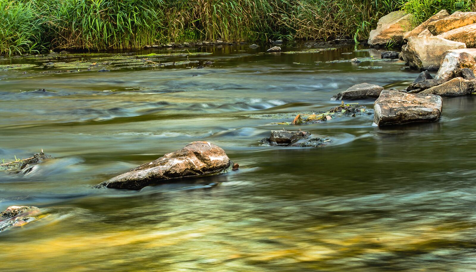 Canon EOS 650D (EOS Rebel T4i / EOS Kiss X6i) sample photo. Water, bach, river photography