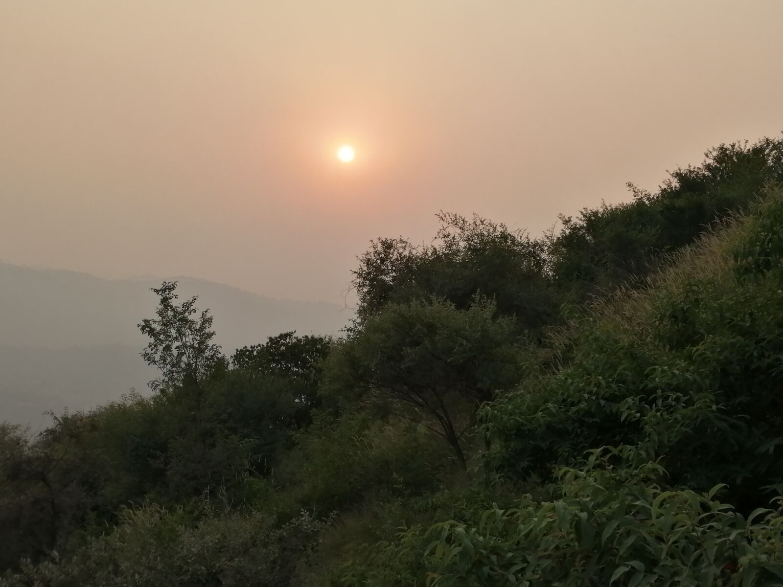 HUAWEI JKM-LX1 sample photo. Nature, beautiful nature, scenary photography