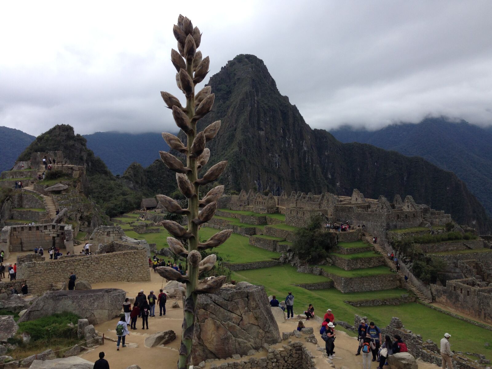 iPhone 5 back camera 4.12mm f/2.4 sample photo. Machu picchu, peru, inca photography