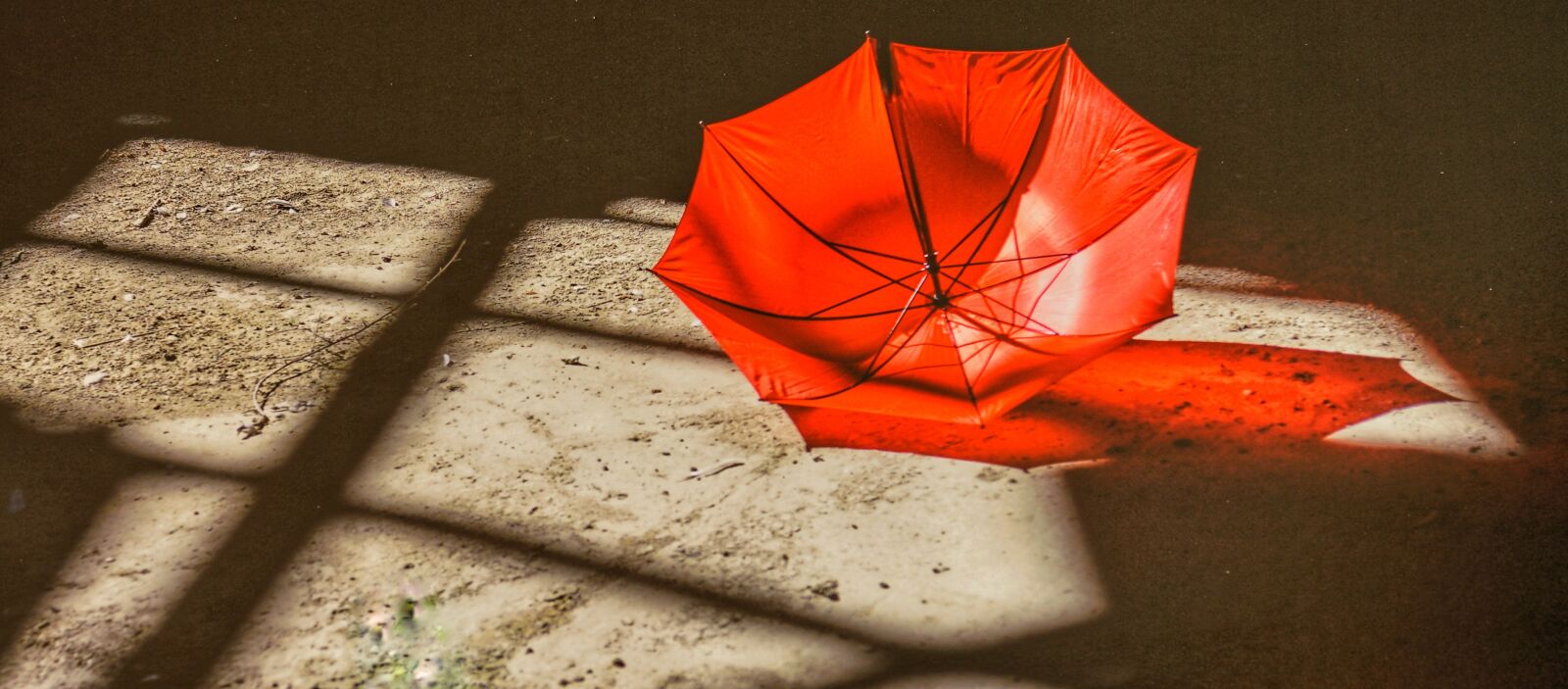 Sony a7R II + Sony FE 24-70mm F2.8 GM sample photo. Umbrella, red, colour photography