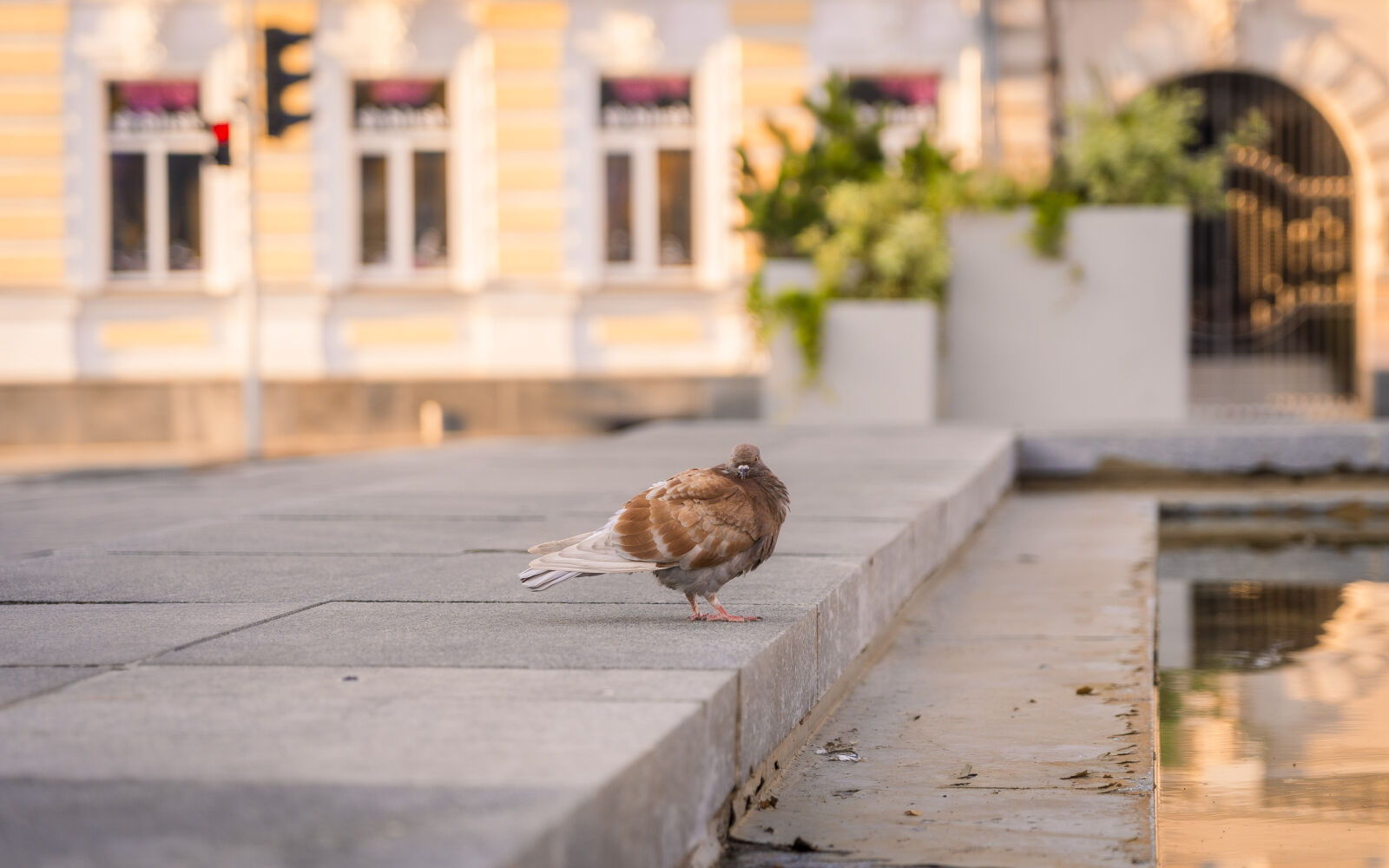 Sony a7 III + Sony FE 24-105mm F4 G OSS sample photo