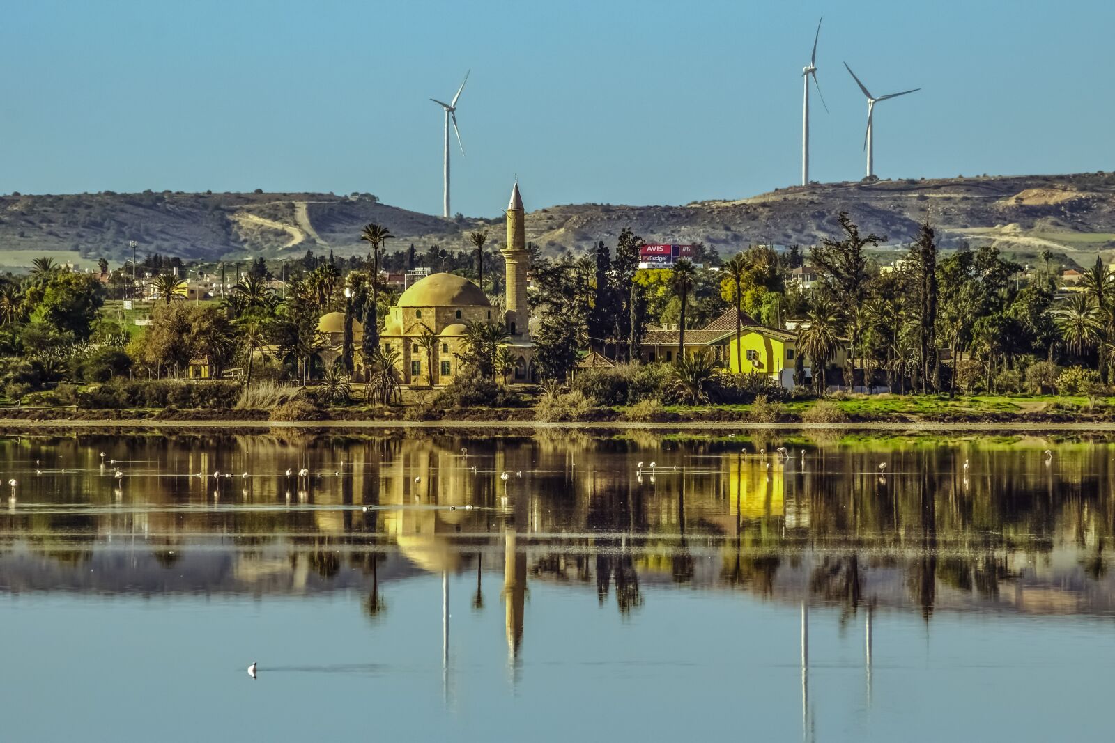 Nikon D3300 sample photo. Cyprus, larnaca, lake photography