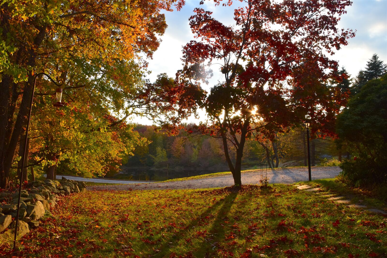 Nikon D3300 sample photo. Fall, foliage, autumn photography