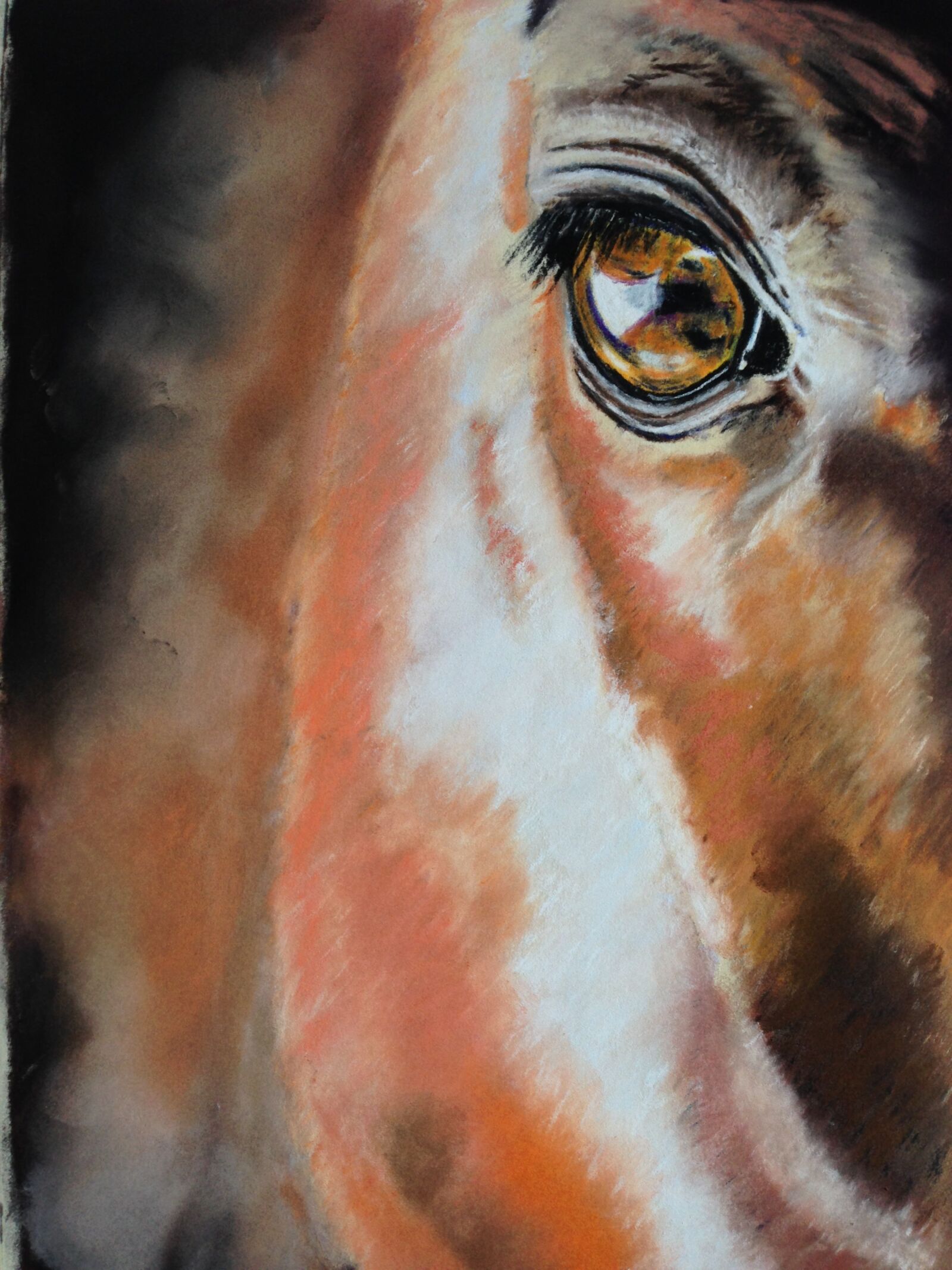Apple iPhone 5 sample photo. Horse, eye, pastel pencil photography