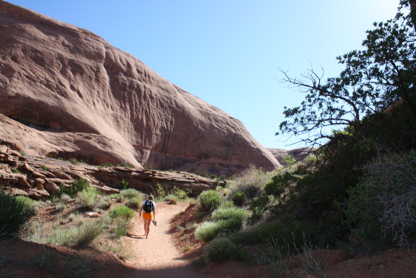 Canon EOS 40D sample photo. Moab, utah, sandstone photography