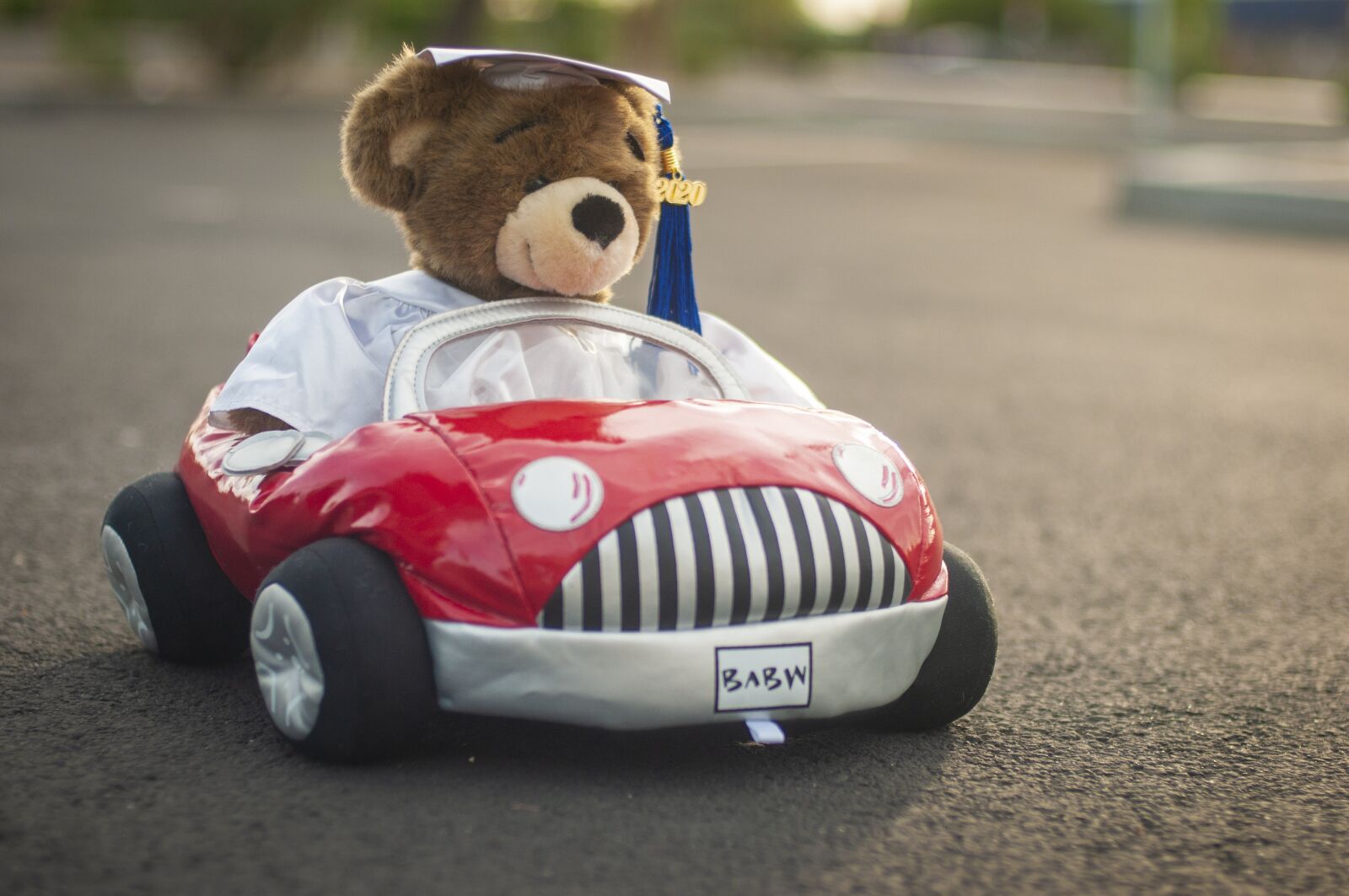 Nikon D300S sample photo. Teddy bear, graduate, cap photography