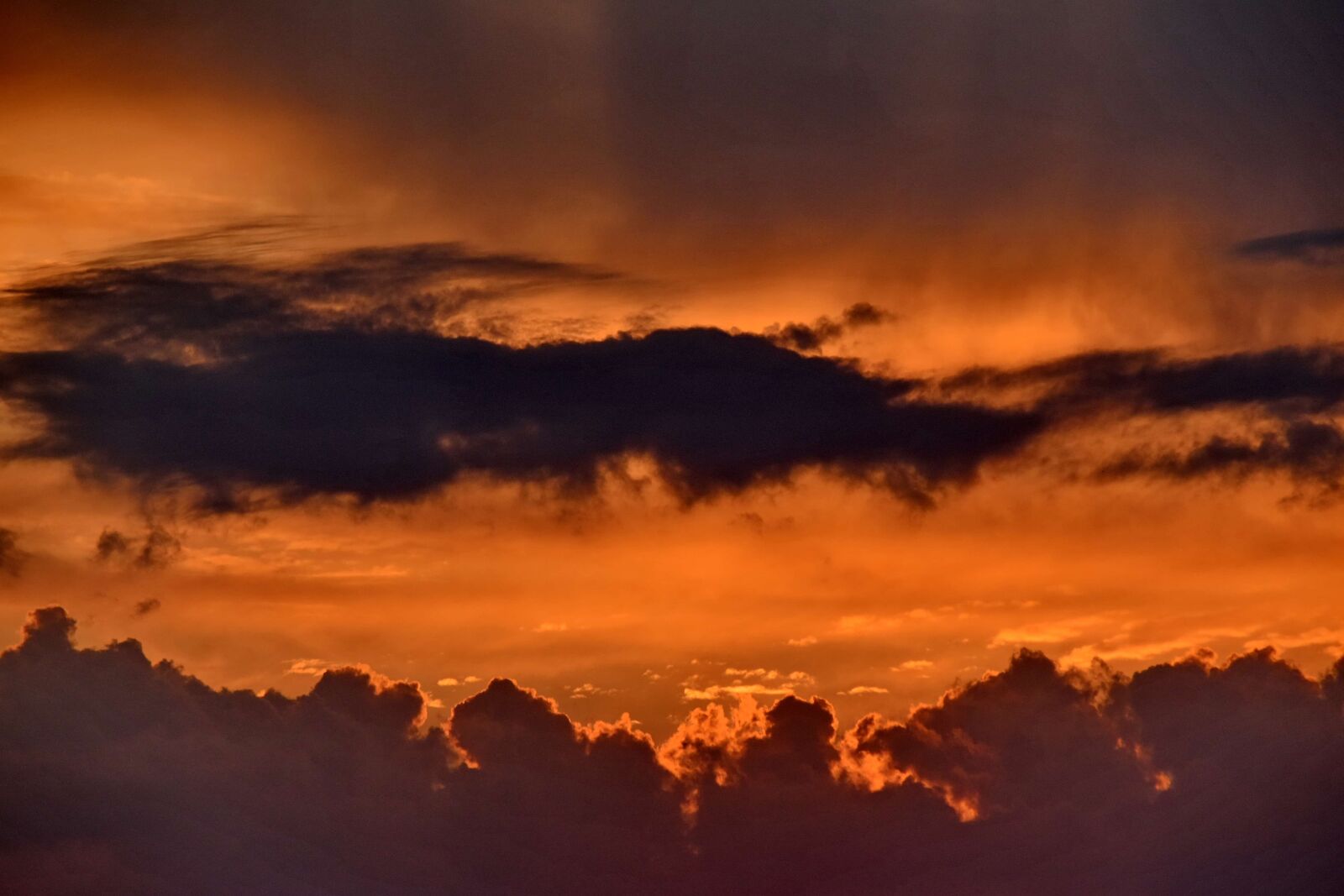 Nikon D5500 sample photo. Clouds, dramatic, yellowish brown photography