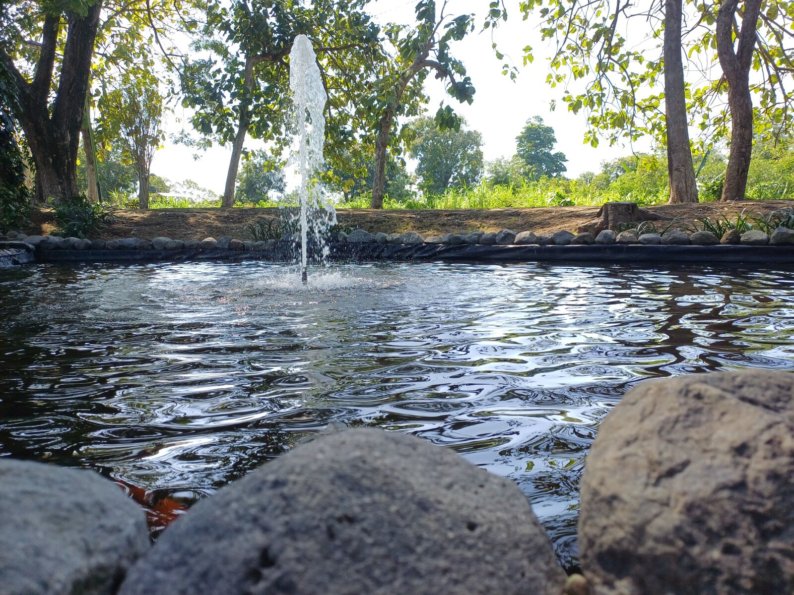 Samsung Galaxy A34 5G sample photo. Air mancur kolam ikan photography