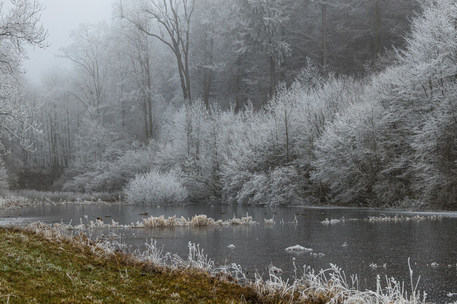 Canon EOS R sample photo. Ice, winter, cold photography