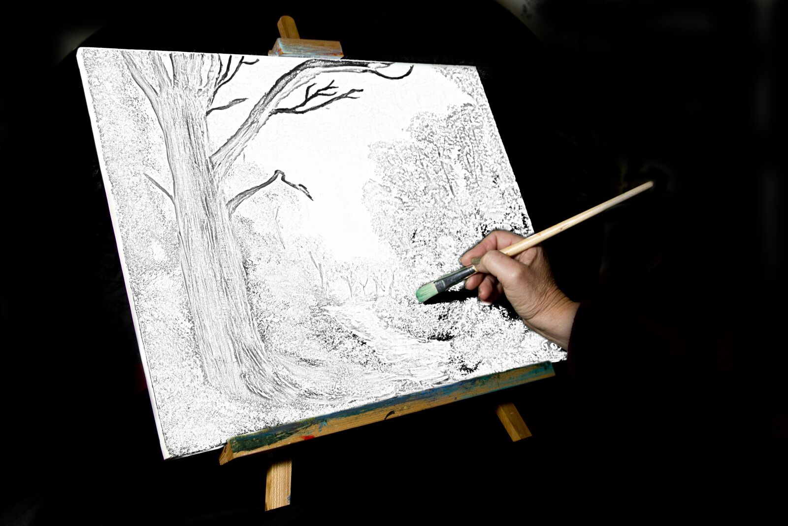 Canon EOS 7D sample photo. Paint, painting, draw photography
