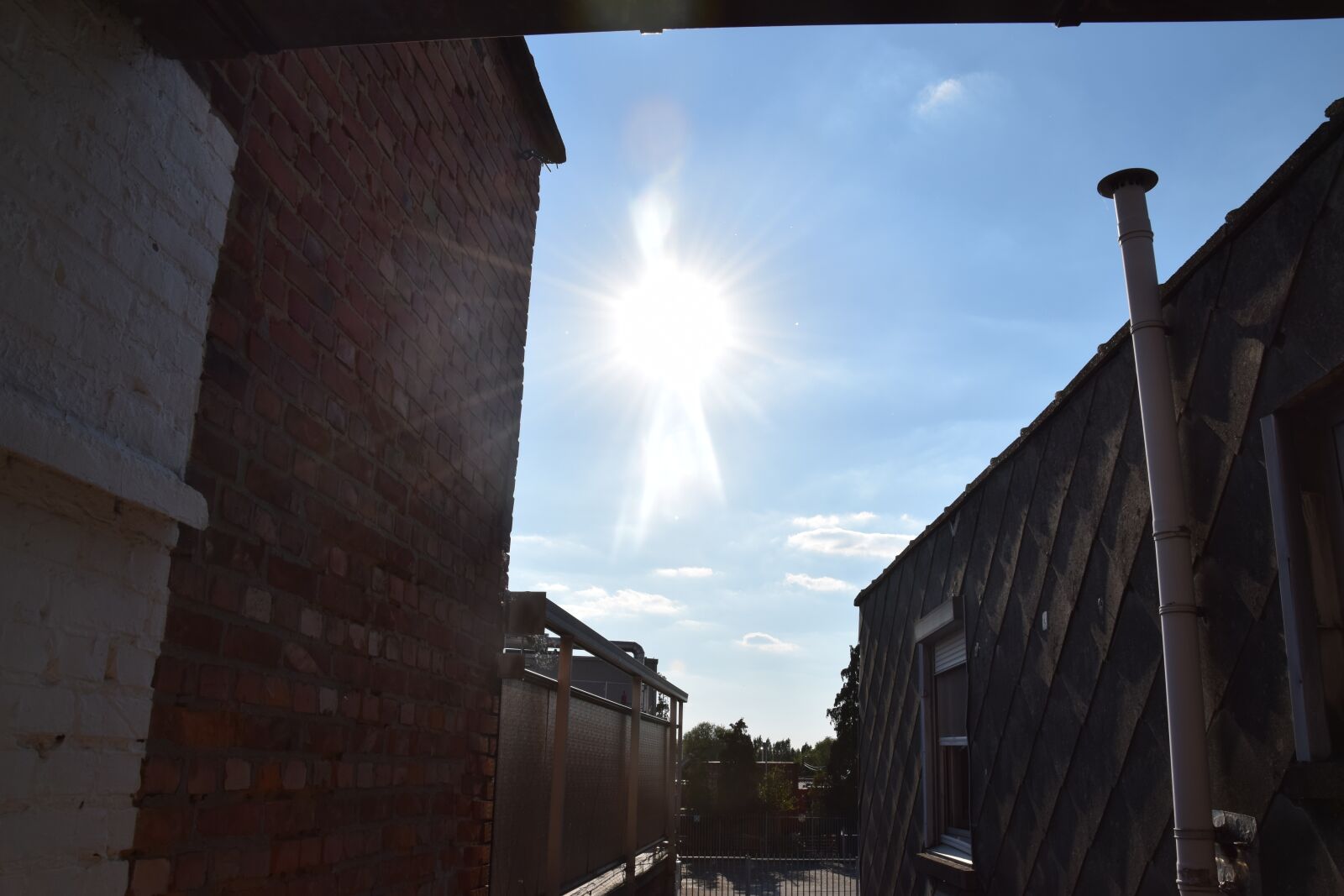 Nikon D5300 sample photo. Blue sky, summer, chilling photography