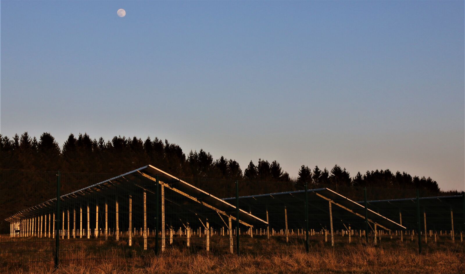 Canon EOS 80D sample photo. Solar power plant, blue photography