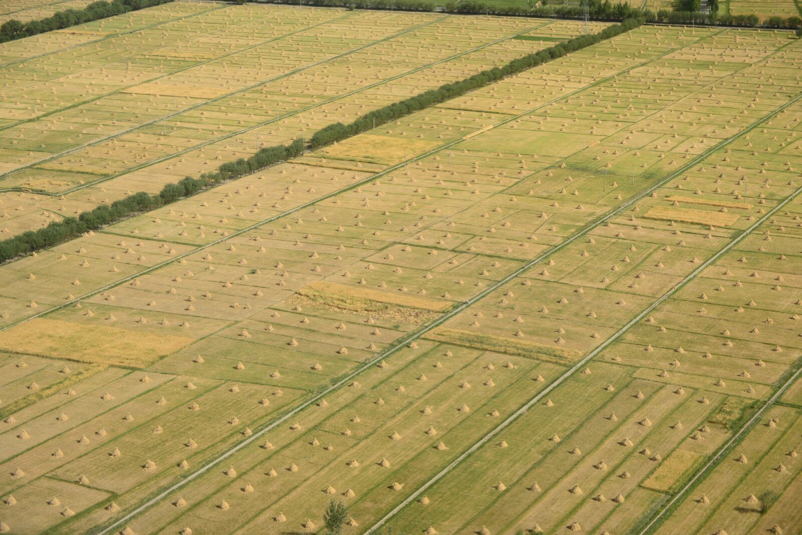 Nikon D800 sample photo. Ground, a bird's eye photography