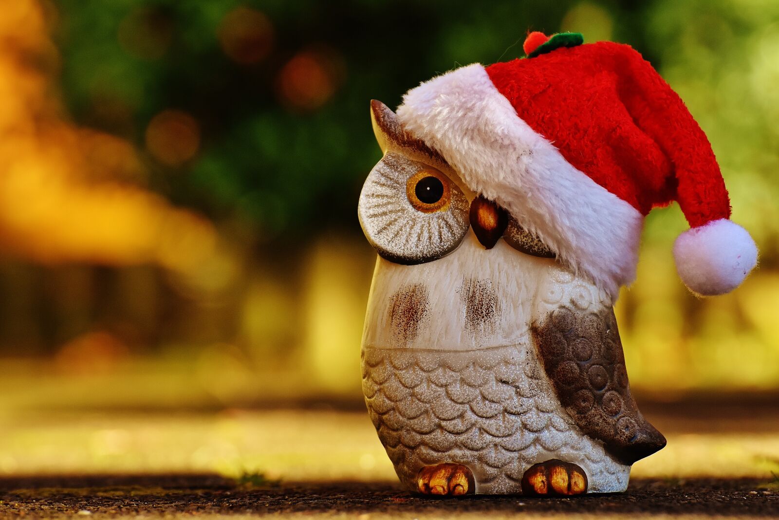 Nikon D7200 sample photo. Christmas, owl, santa hat photography