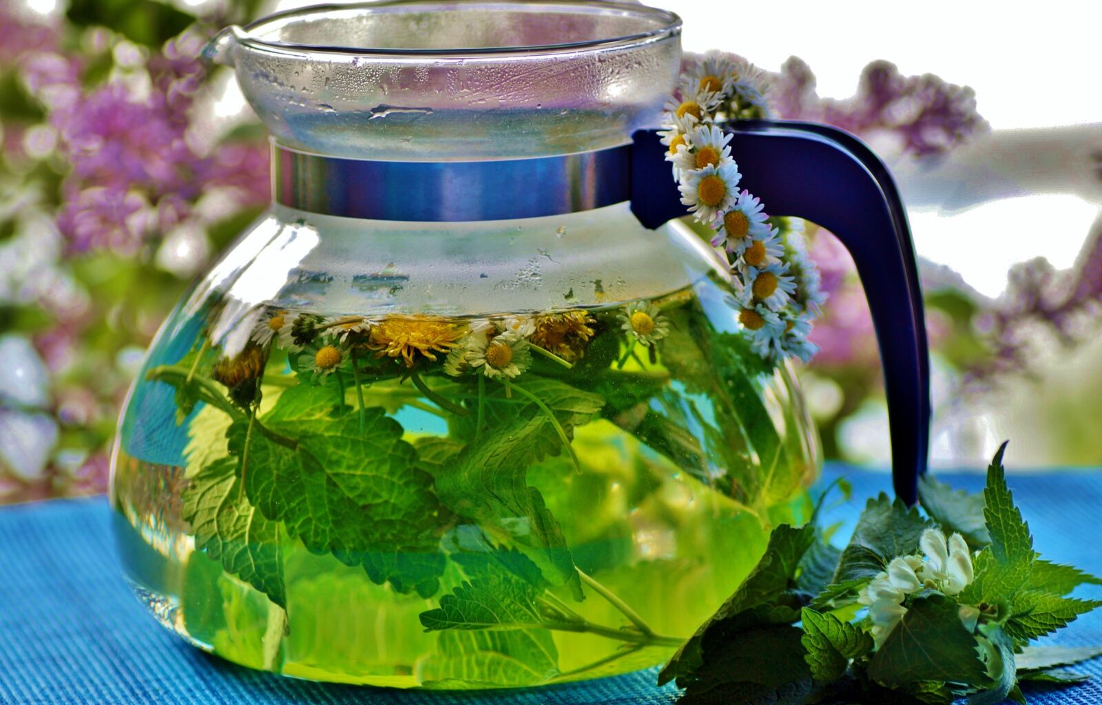 Sony SLT-A58 sample photo. Herbal, tea, the infusion photography