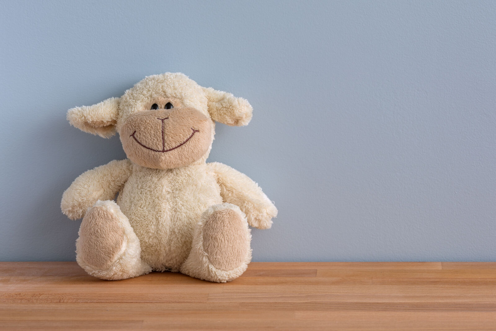 Canon EF 180mm F3.5L Macro USM sample photo. Cuddly, toy, toy, happy photography