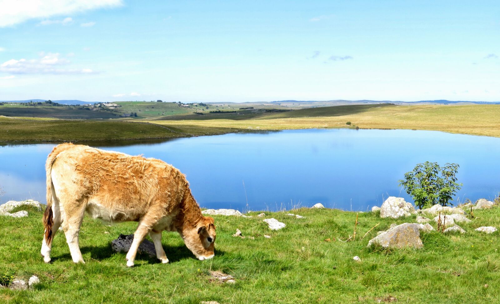 Canon PowerShot SX260 HS sample photo. Aubrac, lake, andeol photography