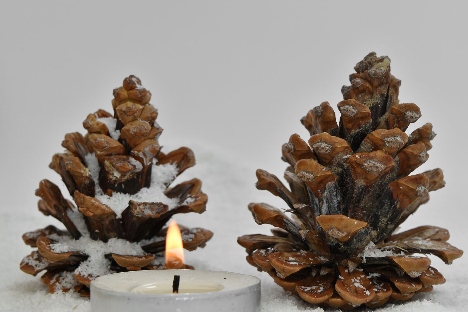 Nikon D5500 sample photo. Candlelight, cone, conifer, holiday photography