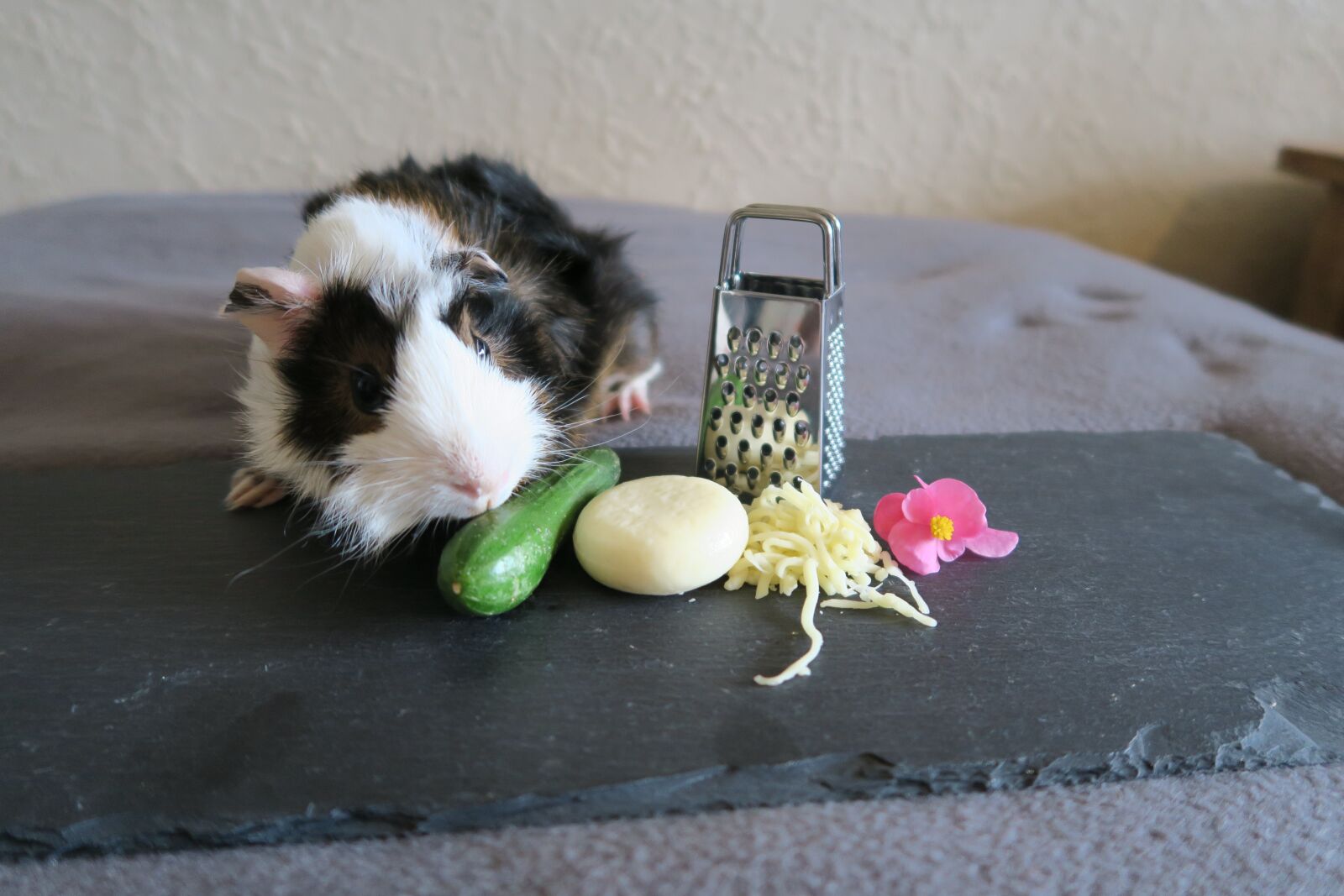 Canon PowerShot G7 X sample photo. Guinea pig, cute, young photography
