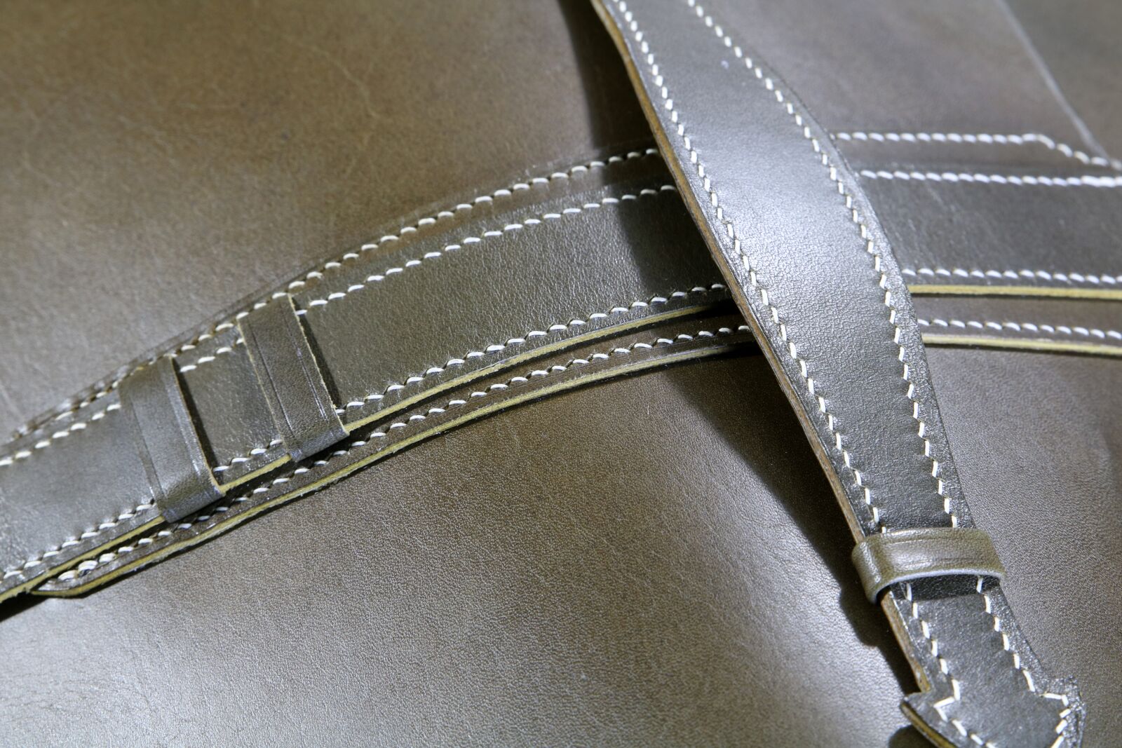 Canon EOS 750D (EOS Rebel T6i / EOS Kiss X8i) sample photo. Leather, fashion technology, leather photography