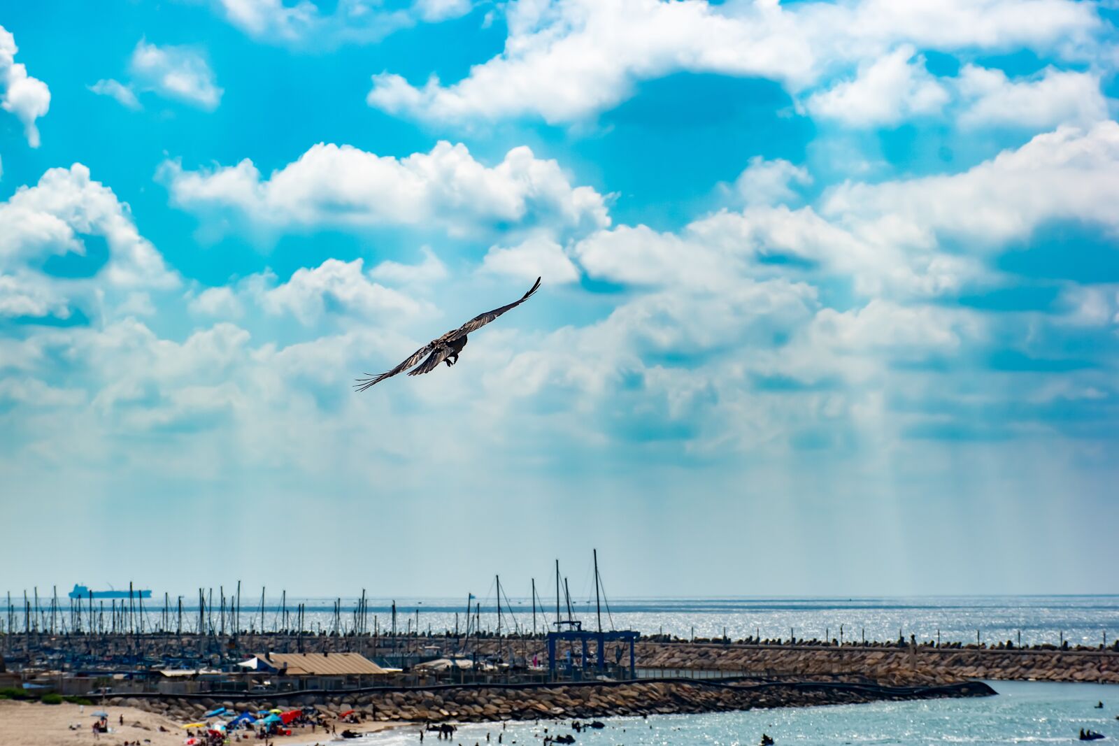 Nikon D5600 sample photo. Sky, beach, sea photography
