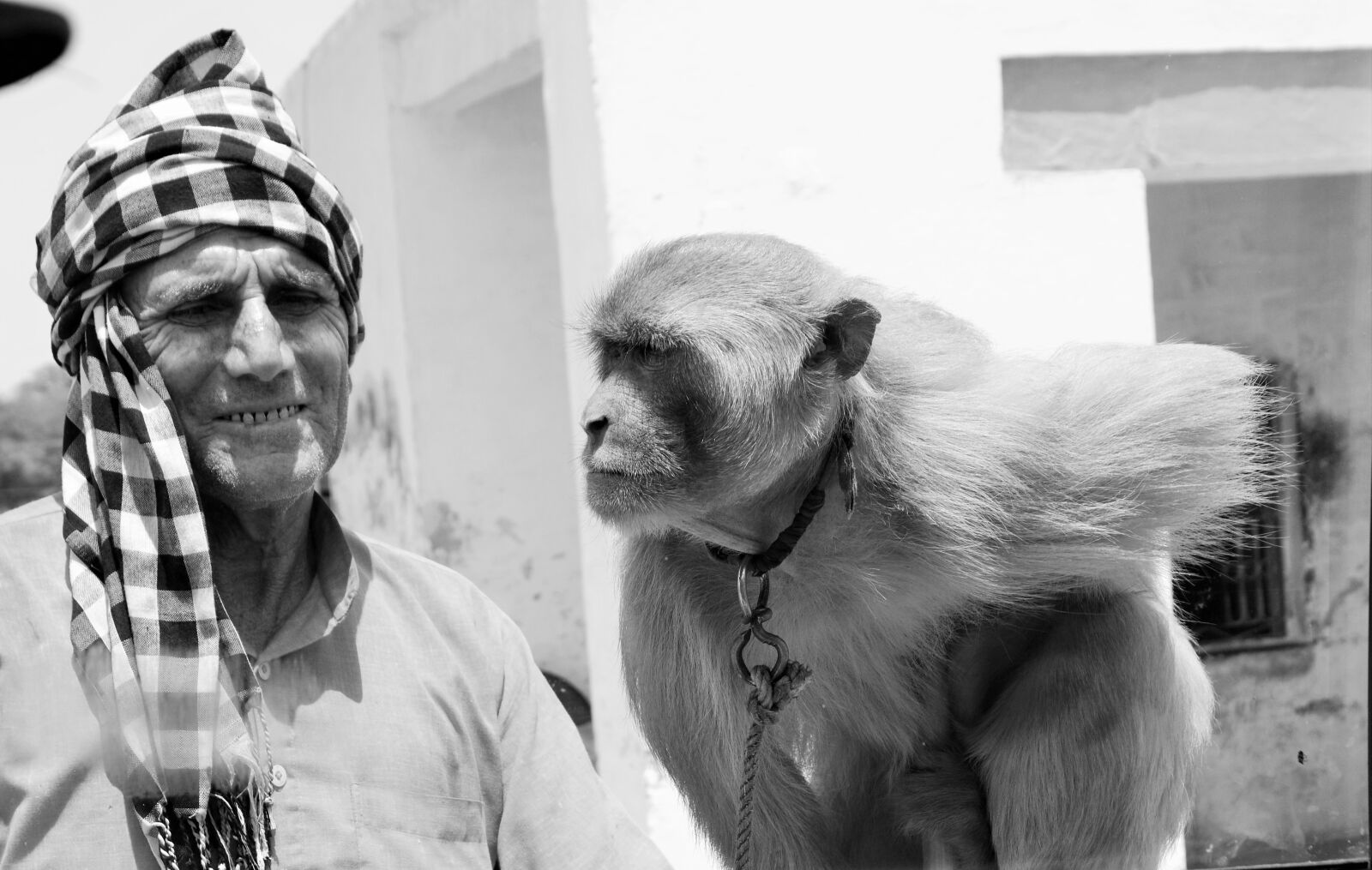 Sony Alpha DSLR-A290 sample photo. India, monkey, hindu photography