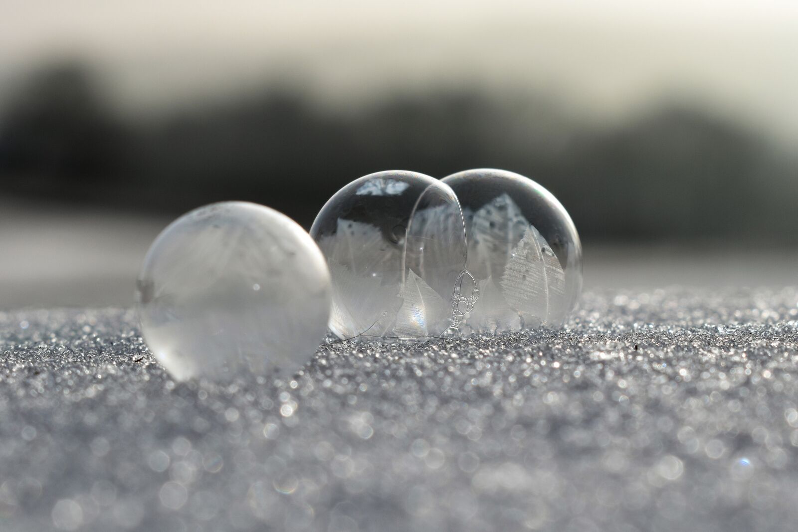 Nikon D5500 sample photo. Soap bubbles, frozen, frost photography