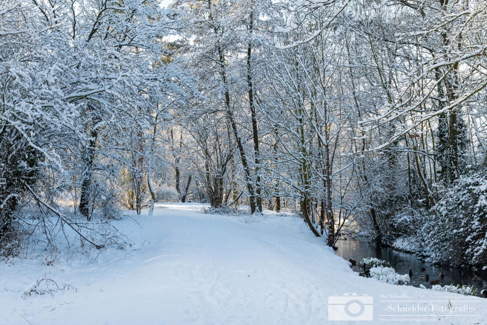 Nikon D850 sample photo. Winter in berlin- rudow photography