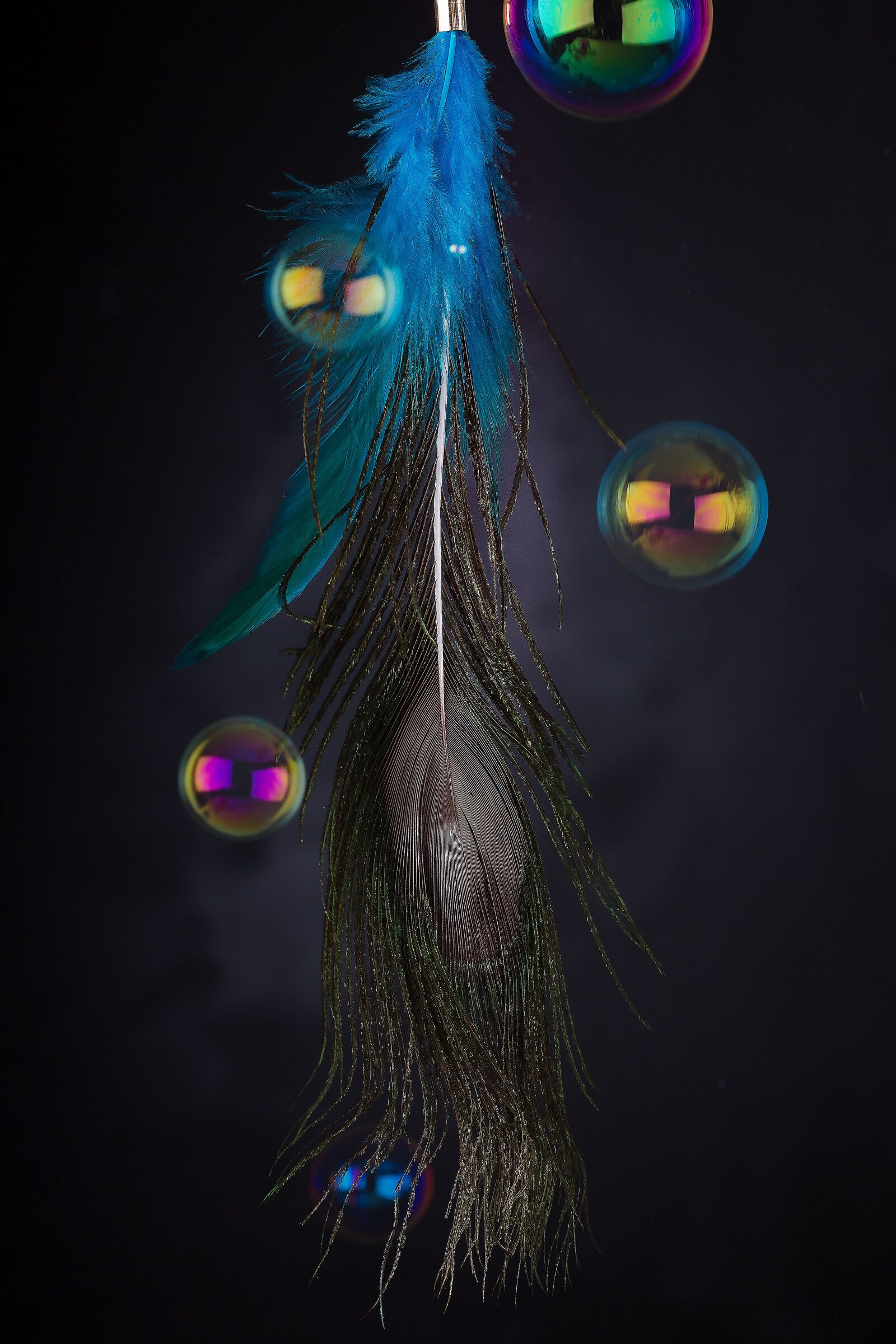 Canon EOS 7D sample photo. Feather, peacock feather, soap photography