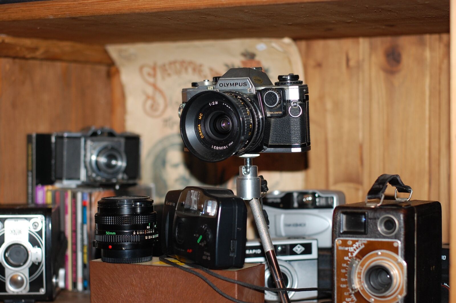 Nikon D40 sample photo. Photo camera, analog camera photography