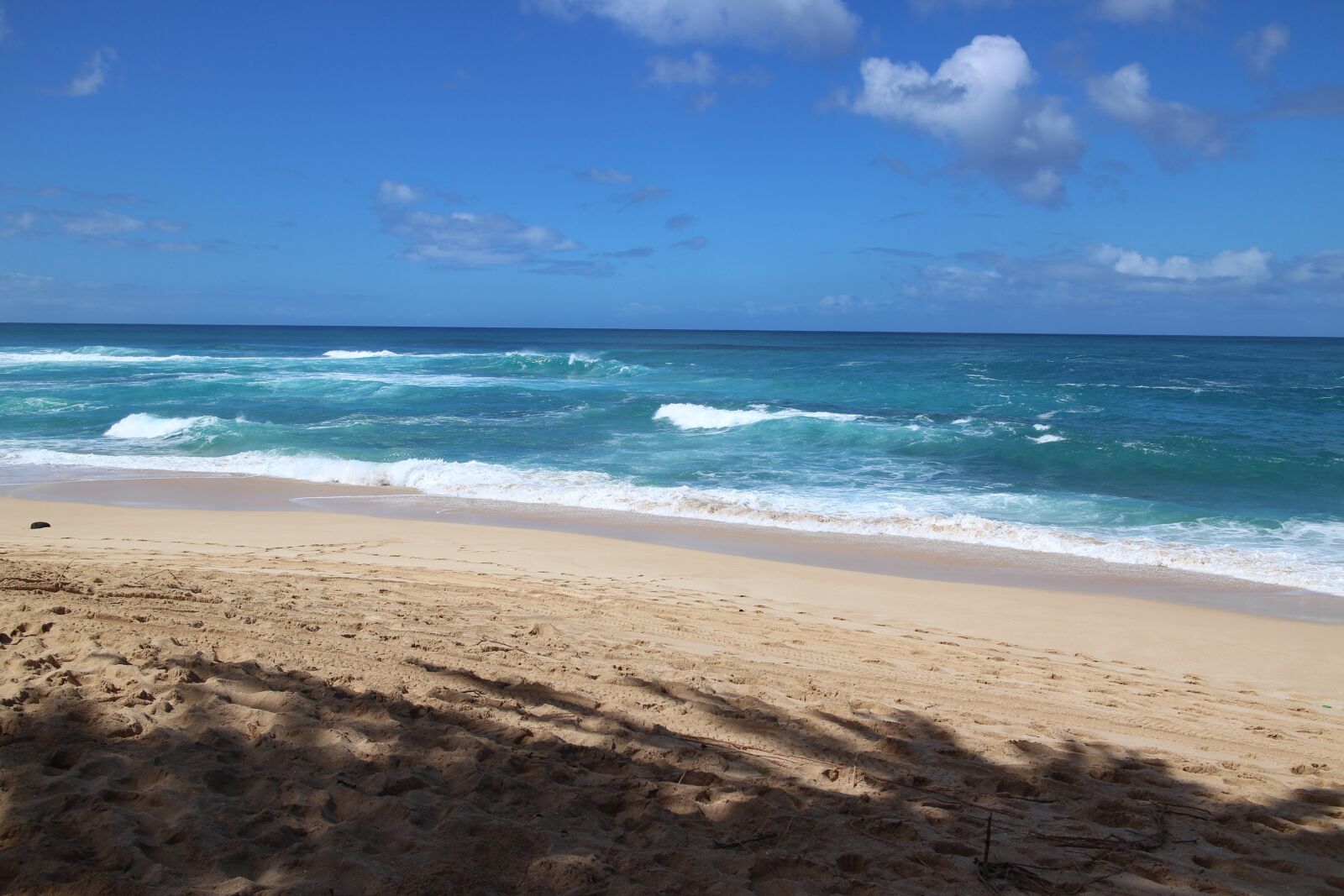 Canon EF-M 22mm F2 STM sample photo. Hawaii, beach, north shore photography