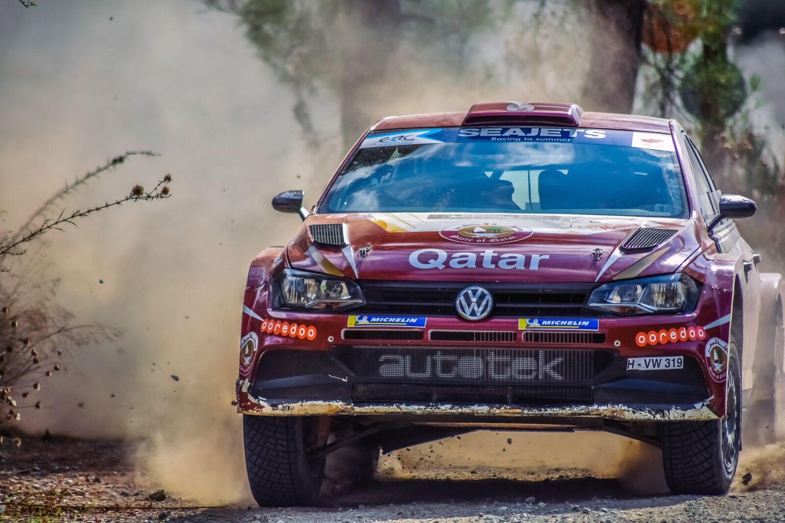 Nikon D3300 sample photo. Car, rally, auto photography