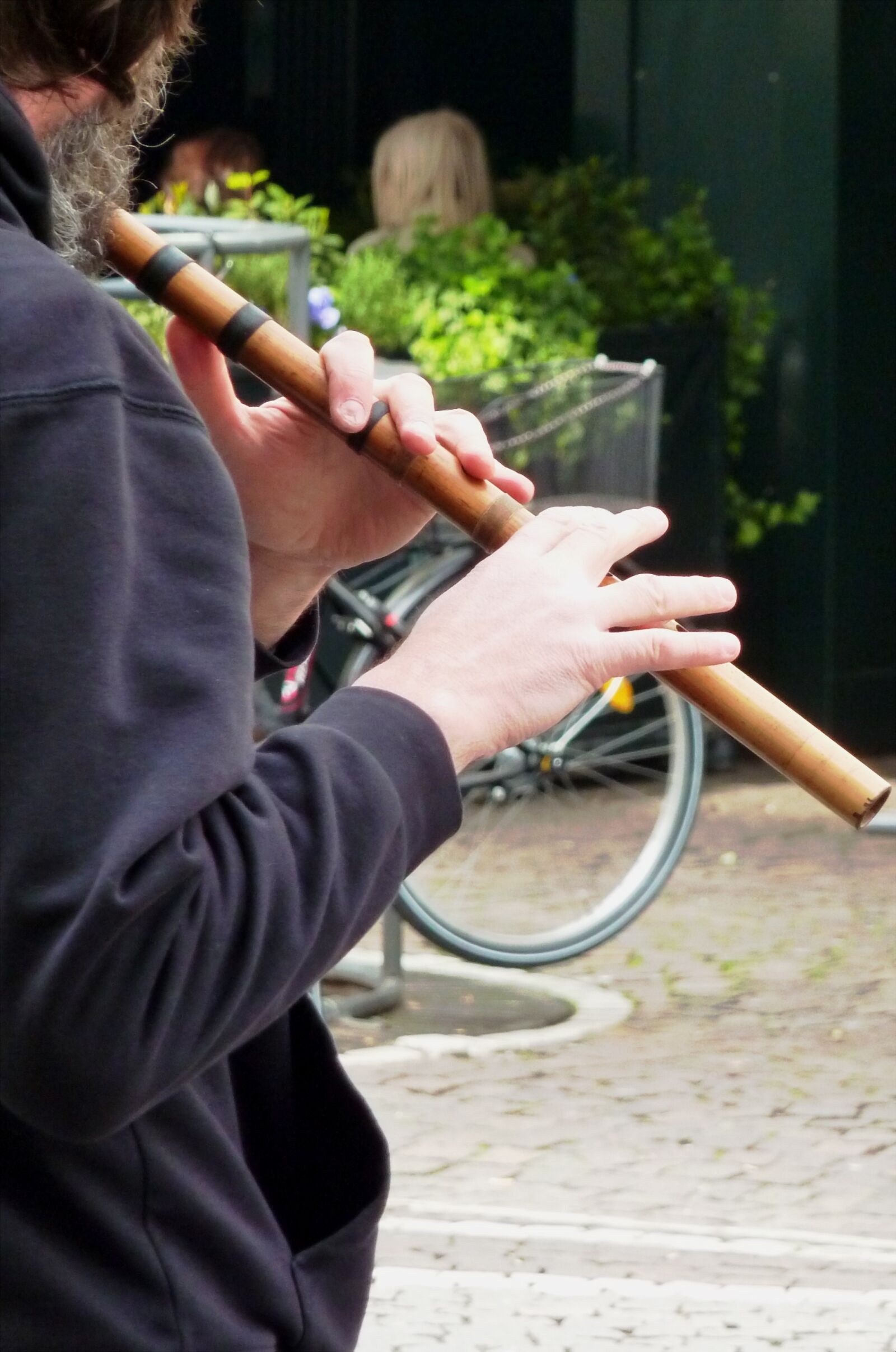 Panasonic DMC-TZ7 sample photo. Flute, flute game, flautist photography