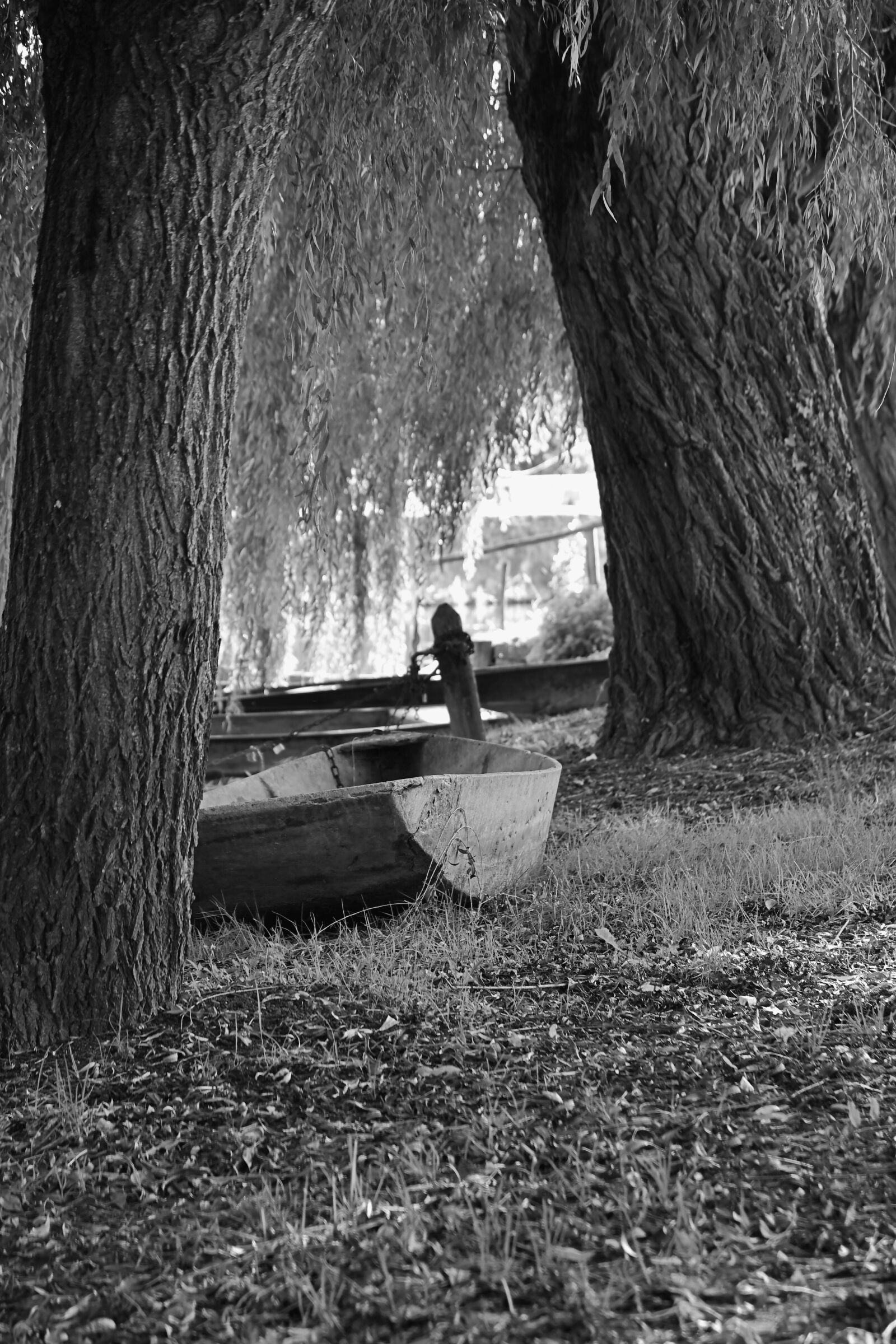 Nikon D500 sample photo. Boat, marrais, river photography