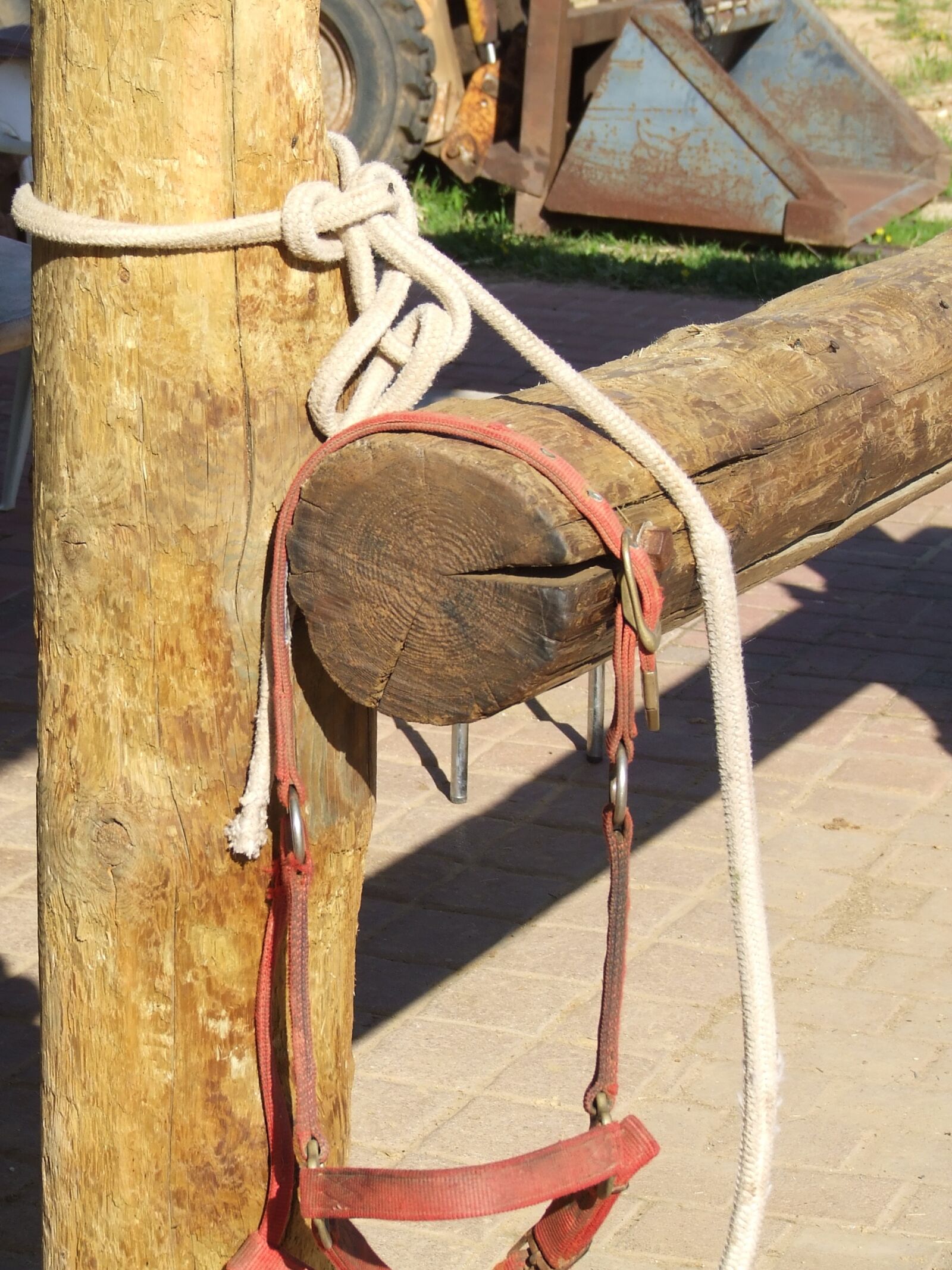 Fujifilm FinePix S5600 sample photo. Fence, binding, rope photography