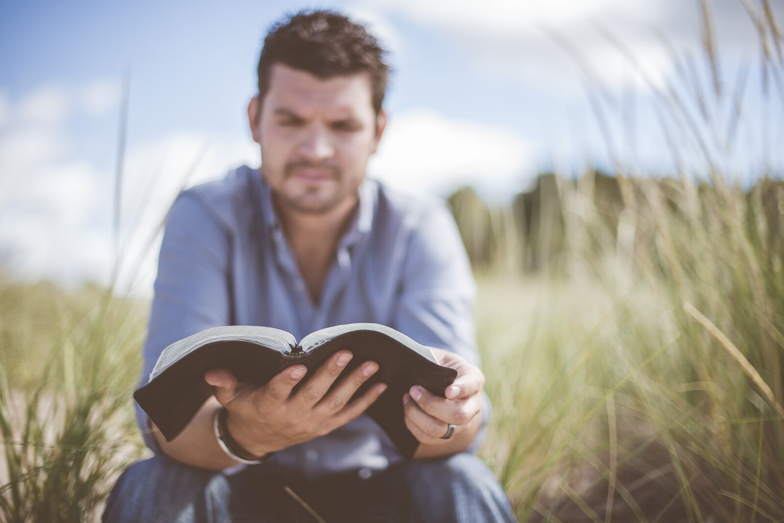 Nikon D750 sample photo. Book, grass, knowledge photography