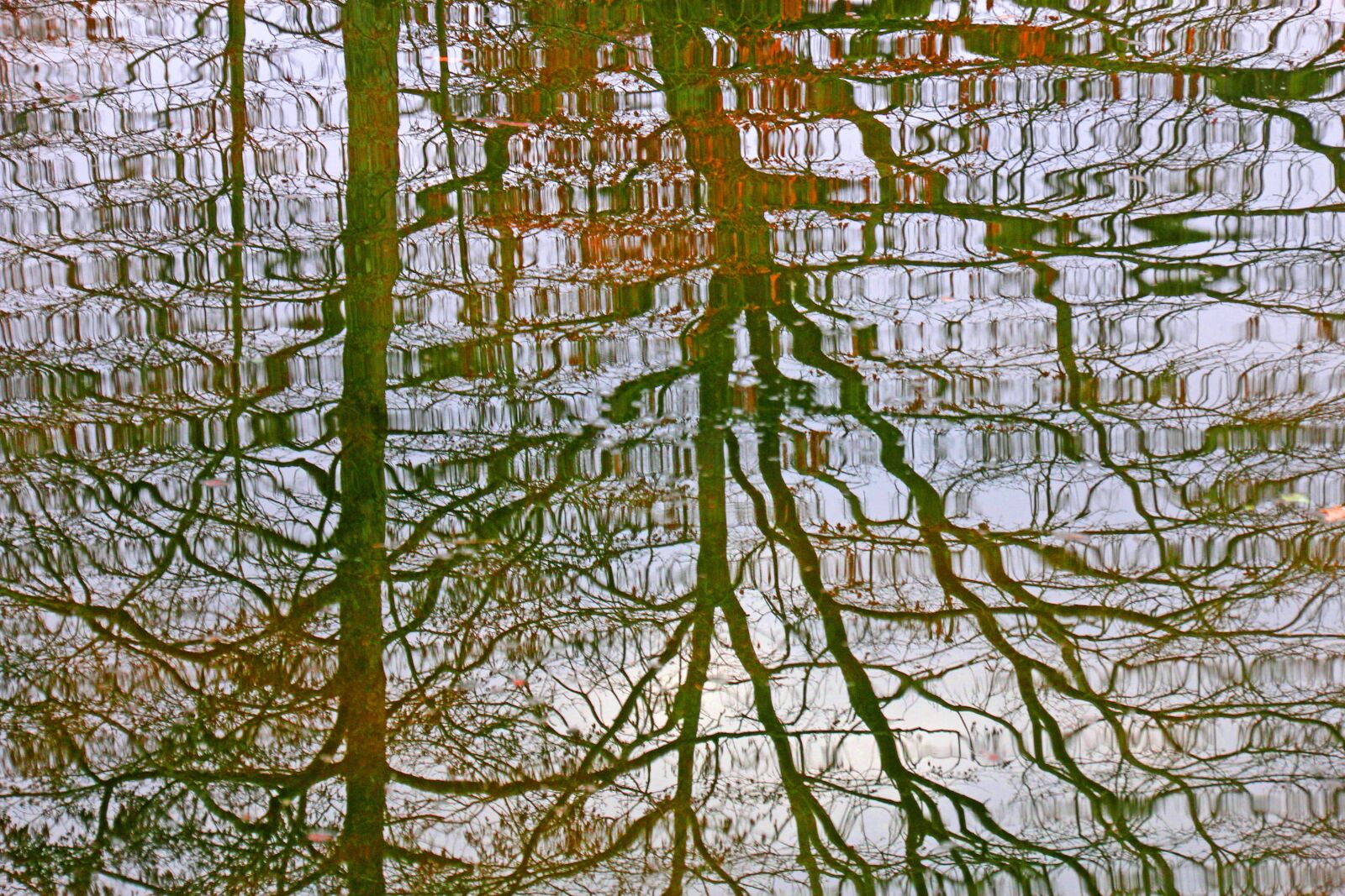 Canon EOS 60D sample photo. Water, mirroring, autumn photography