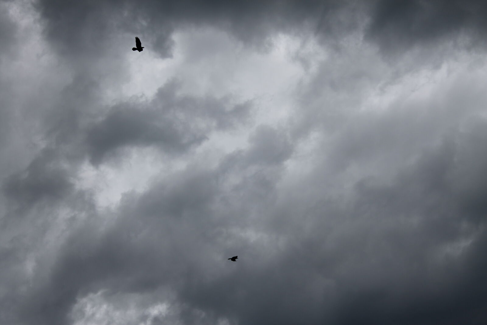 Canon EOS 1100D (EOS Rebel T3 / EOS Kiss X50) sample photo. Black, and, white, clouds photography