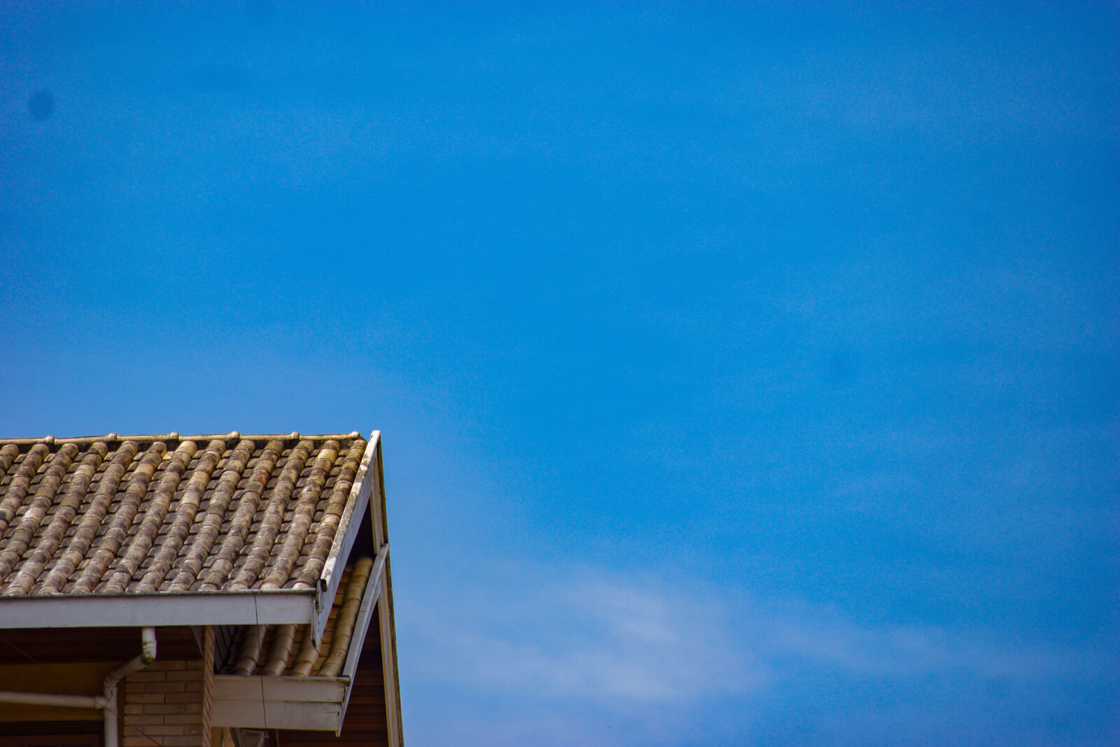 Sony SLT-A65 (SLT-A65V) sample photo