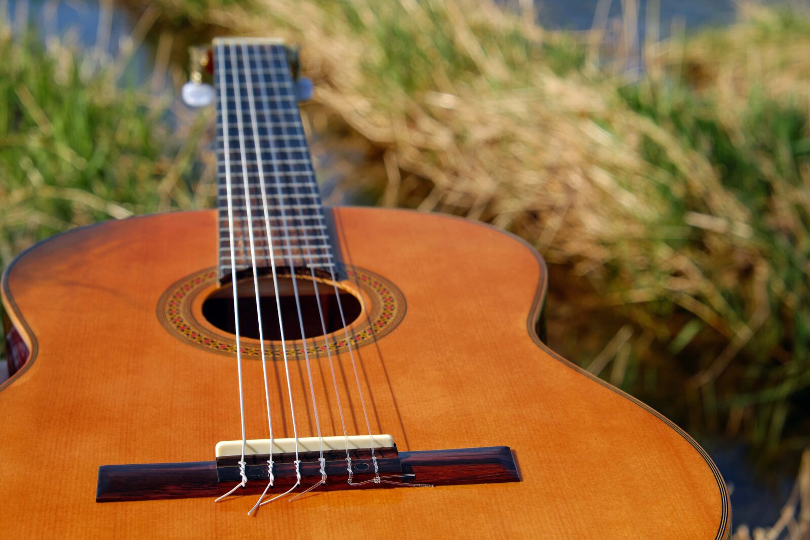 Fujifilm X-T10 sample photo. Guitar, musical instrument, stringed photography
