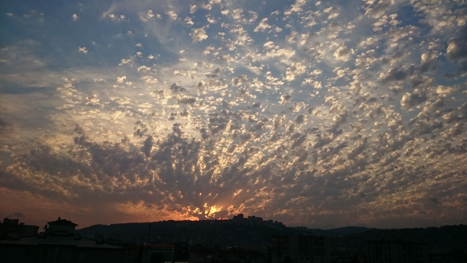 Sony Xperia Z1 sample photo. Sunset, end of the photography