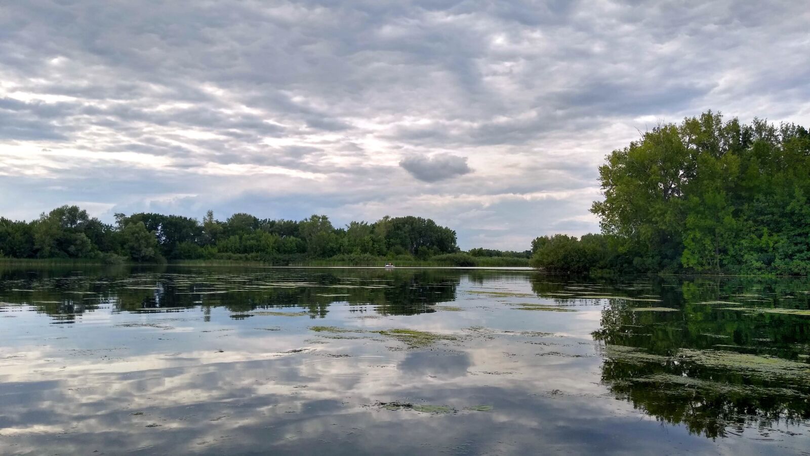 Motorola moto g(7) power sample photo. Russia, saratov, engels photography