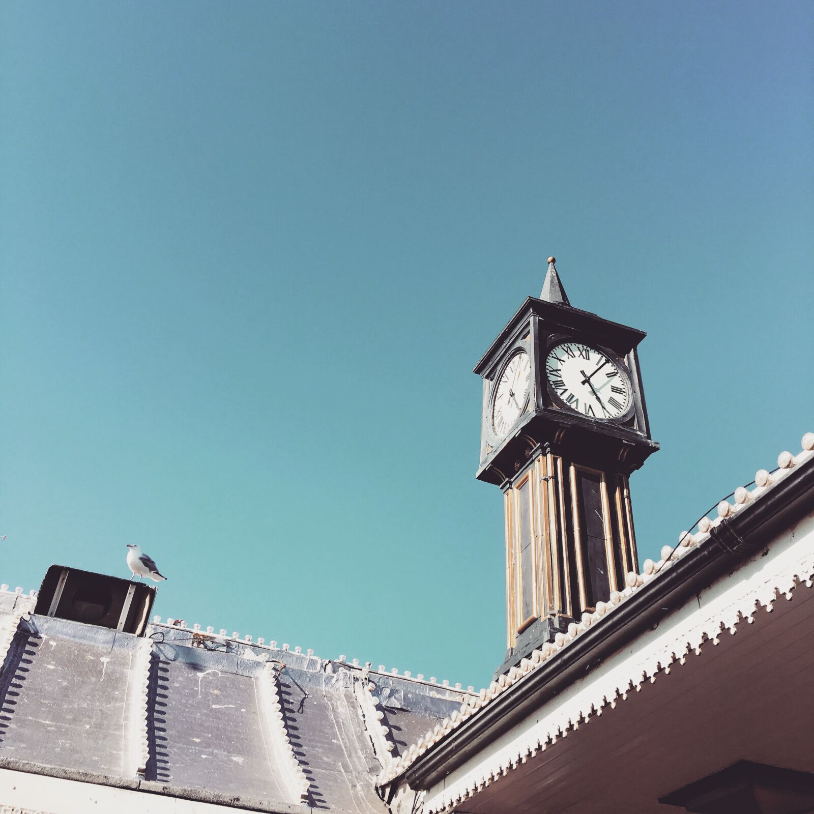 Apple iPhone 6s sample photo. Bell, tower, blue, sky photography