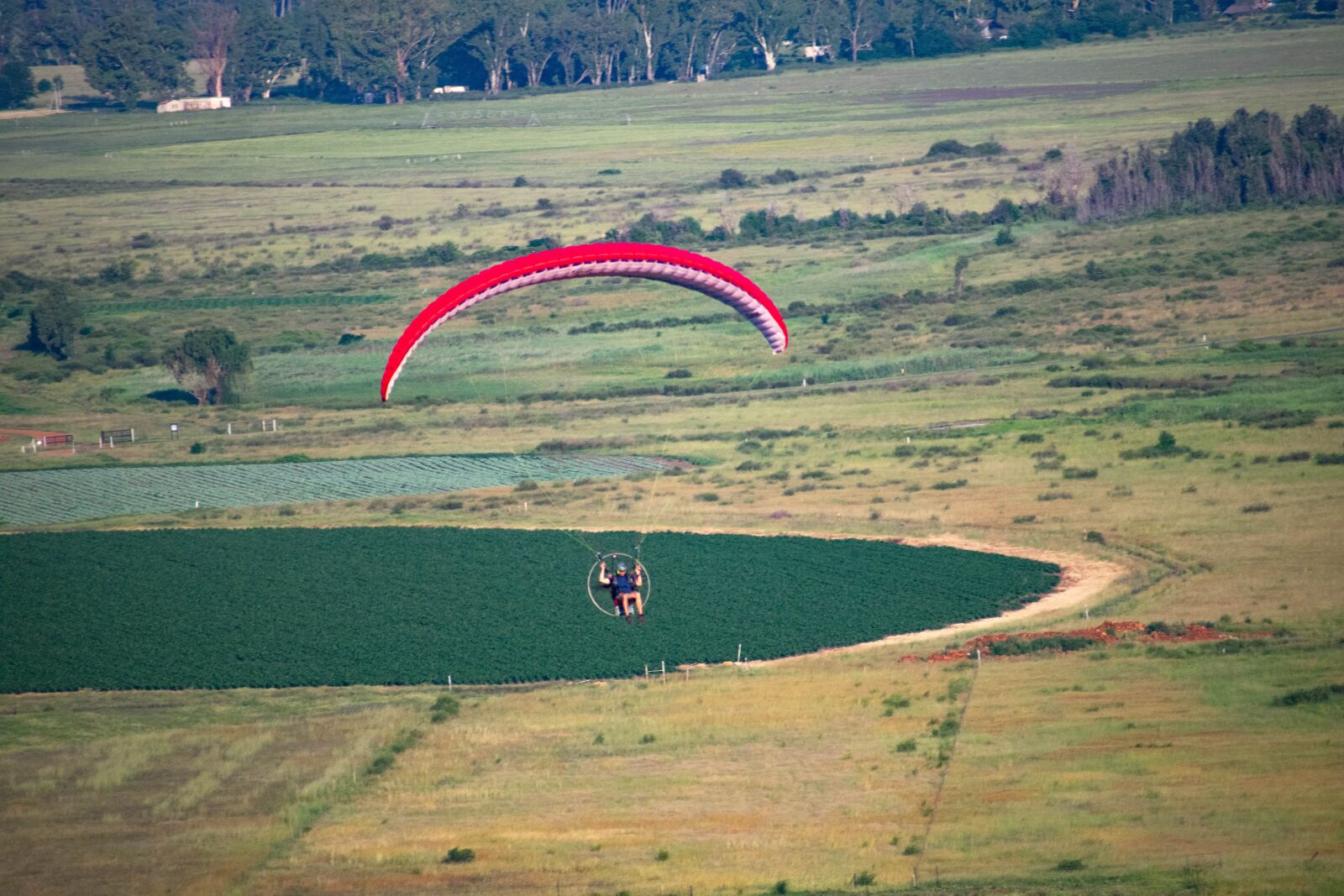 Nikon D3400 sample photo. Paramotor, flight, paragliding photography