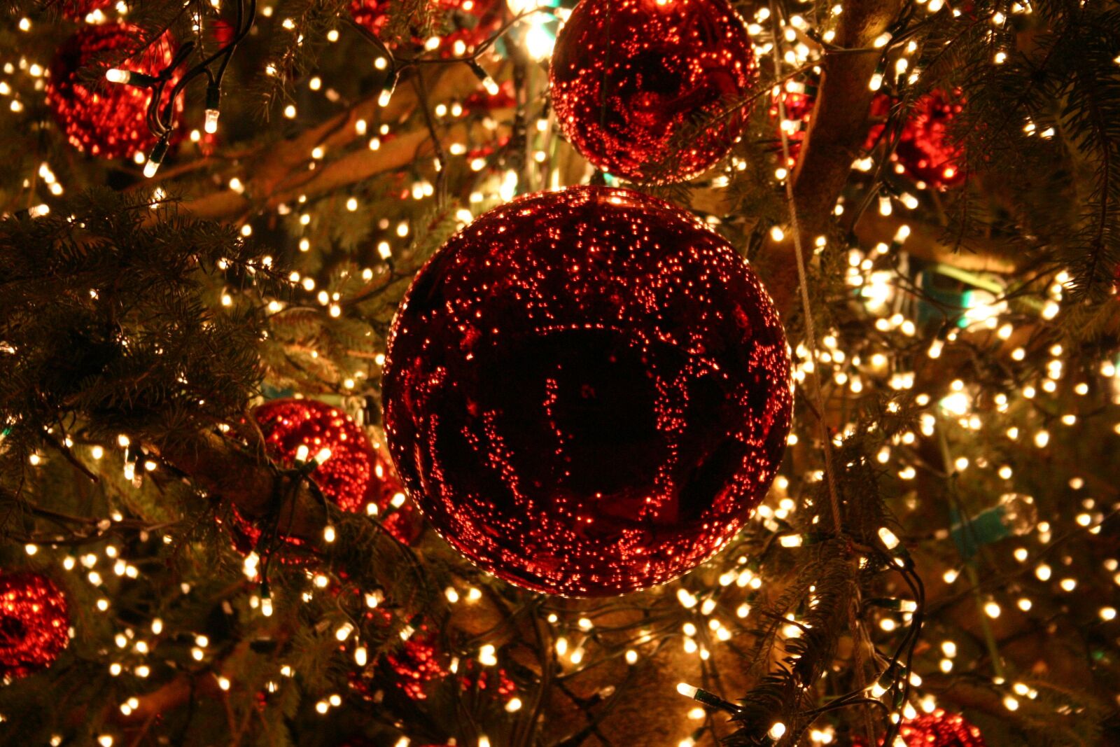 Canon EOS 300D (EOS Digital Rebel / EOS Kiss Digital) sample photo. Christmas, bowls, chr photography