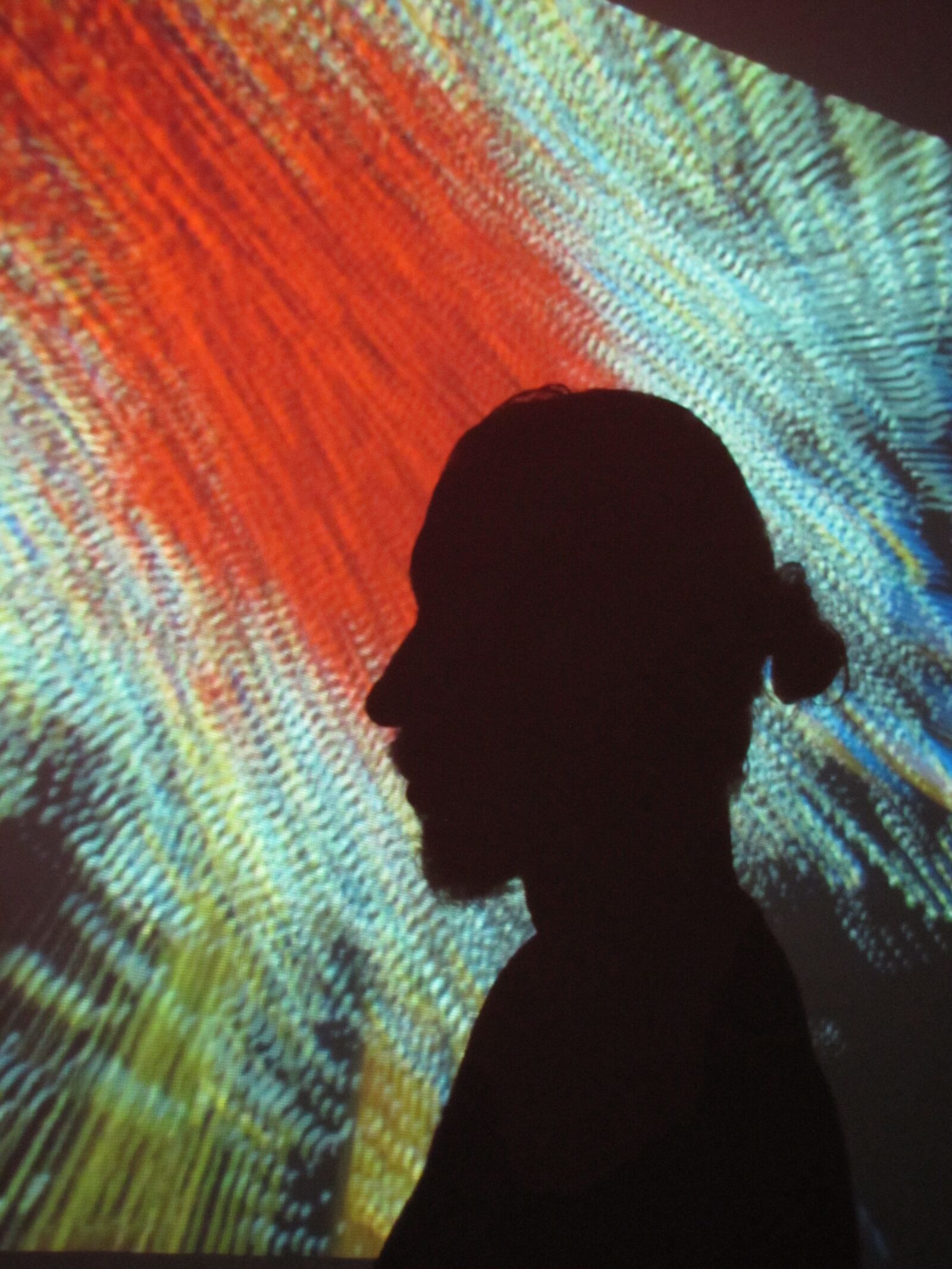 Canon PowerShot SX20 IS sample photo. Silhouette, psychedelic, colorful photography