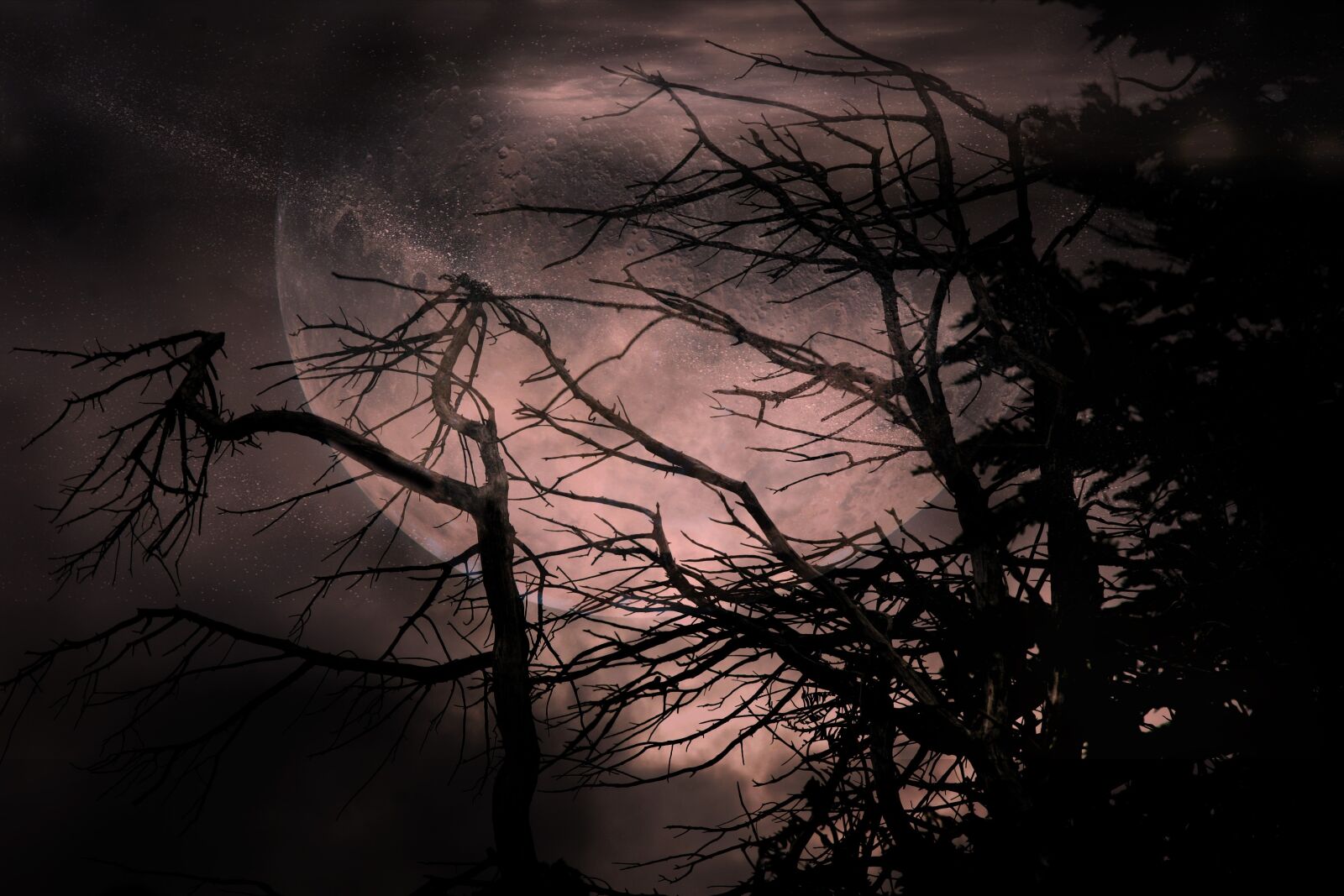 Canon EOS 20D sample photo. Collage, assembly, moon photography