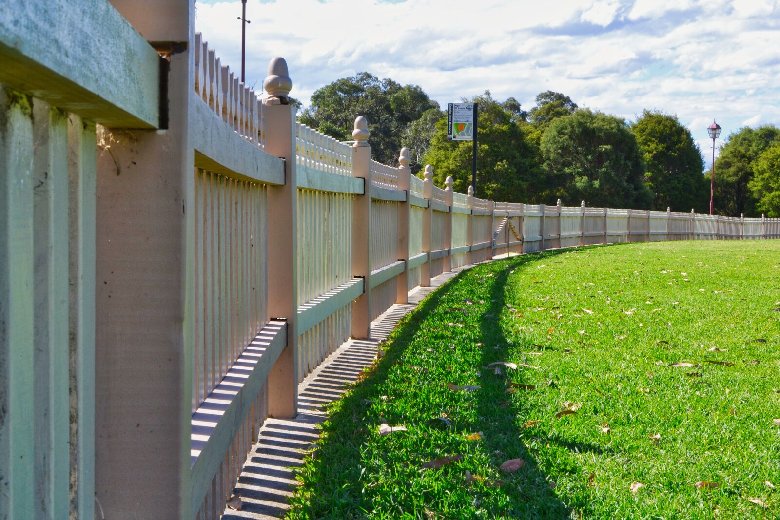 Nikon D3100 sample photo. Afternoon, dog, park, fence photography