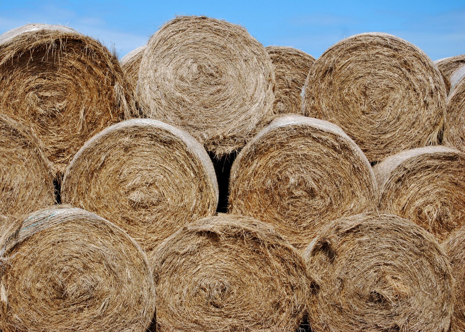 Nikon D60 sample photo. Hay, bales, round photography