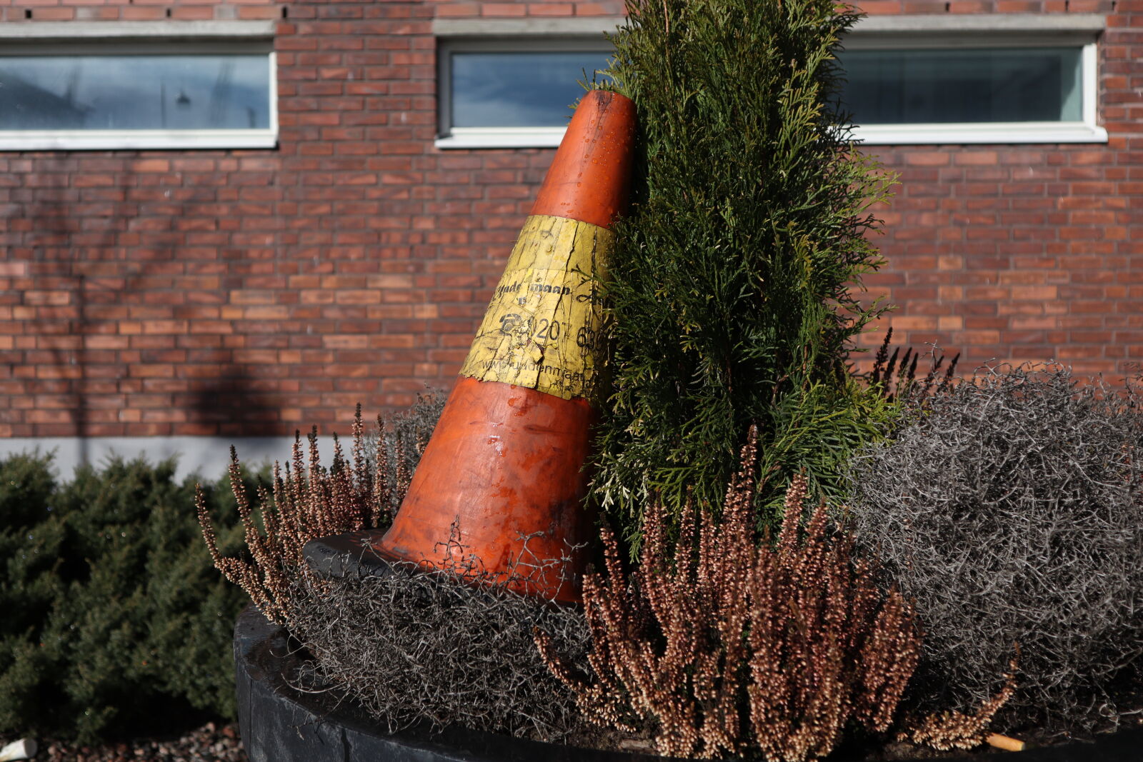 Canon EF-M 15-45mm F3.5-6.3 IS STM sample photo. Traffic cone planting photography